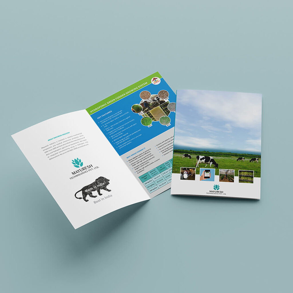 bi-fold-brochure